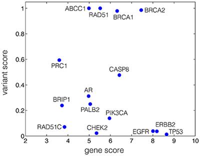 Disease Risk Assessment Using a Voronoi-Based Network Analysis of Genes and Variants Scores